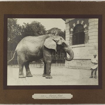Jardin des Plantes et Museum national dHistoire naturelle