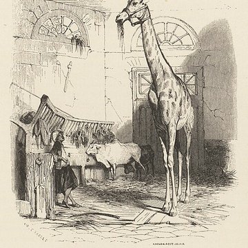 Jardin des Plantes et Museum national dHistoire naturelle