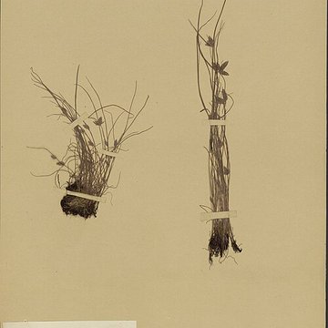 Jardin des Plantes et Museum national dHistoire naturelle