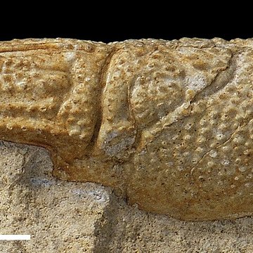 Jardin des Plantes et Museum national dHistoire naturelle