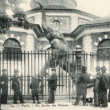 Jardin des Plantes et Museum national dHistoire naturelle