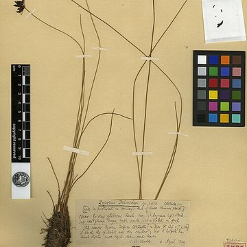 Jardin des Plantes et Museum national dHistoire naturelle