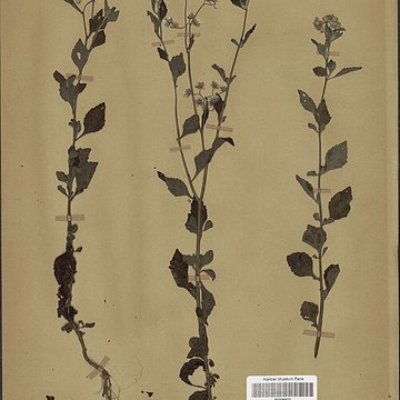 Jardin des Plantes et Museum national dHistoire naturelle