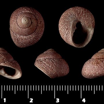 Jardin des Plantes et Museum national dHistoire naturelle