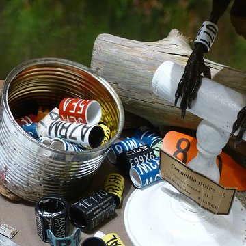 Jardin des Plantes et Museum national dHistoire naturelle