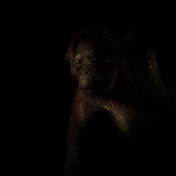 Jardin des Plantes et Museum national dHistoire naturelle