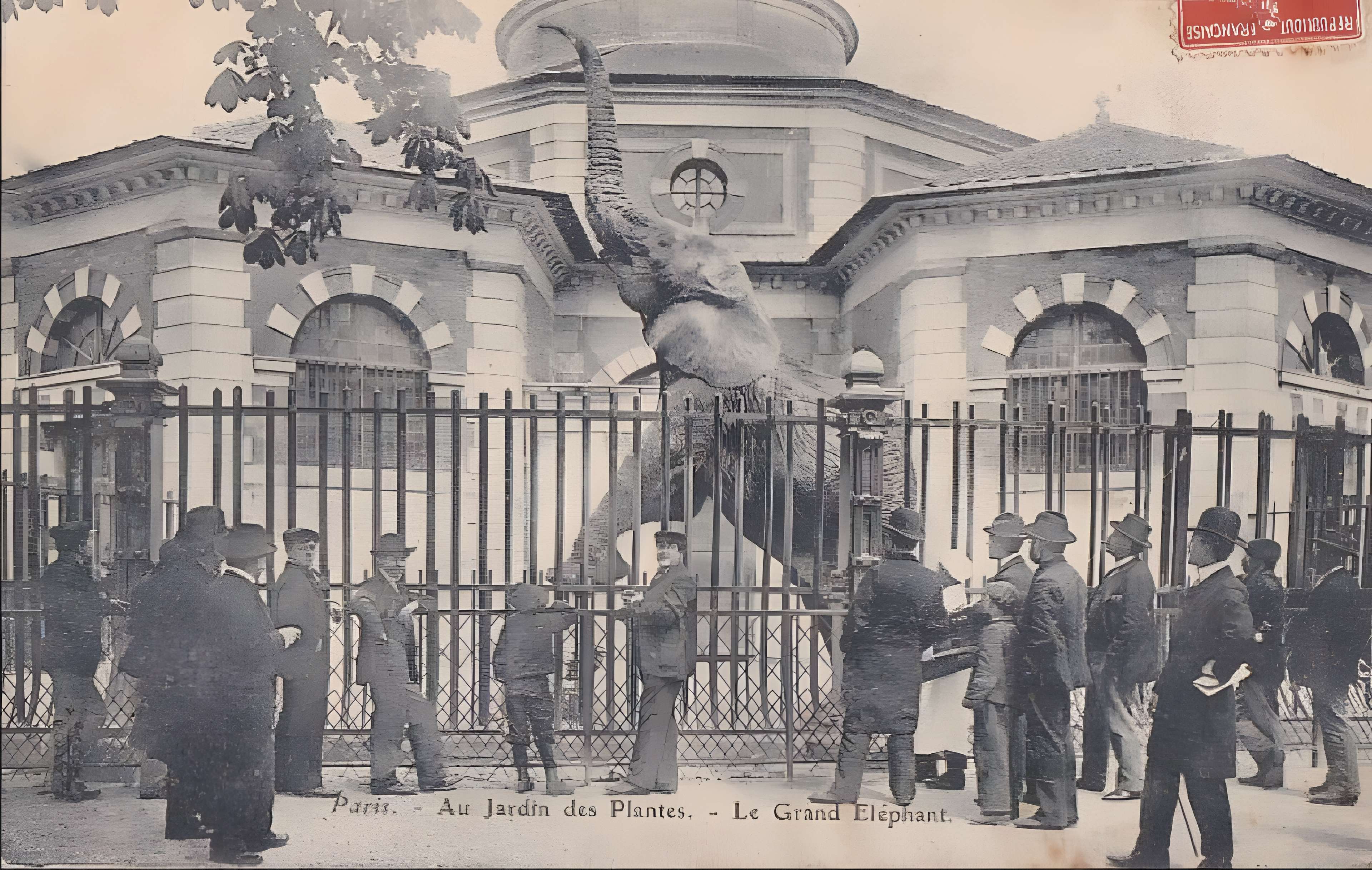 Jardin des Plantes et Museum national d'Histoire naturelle