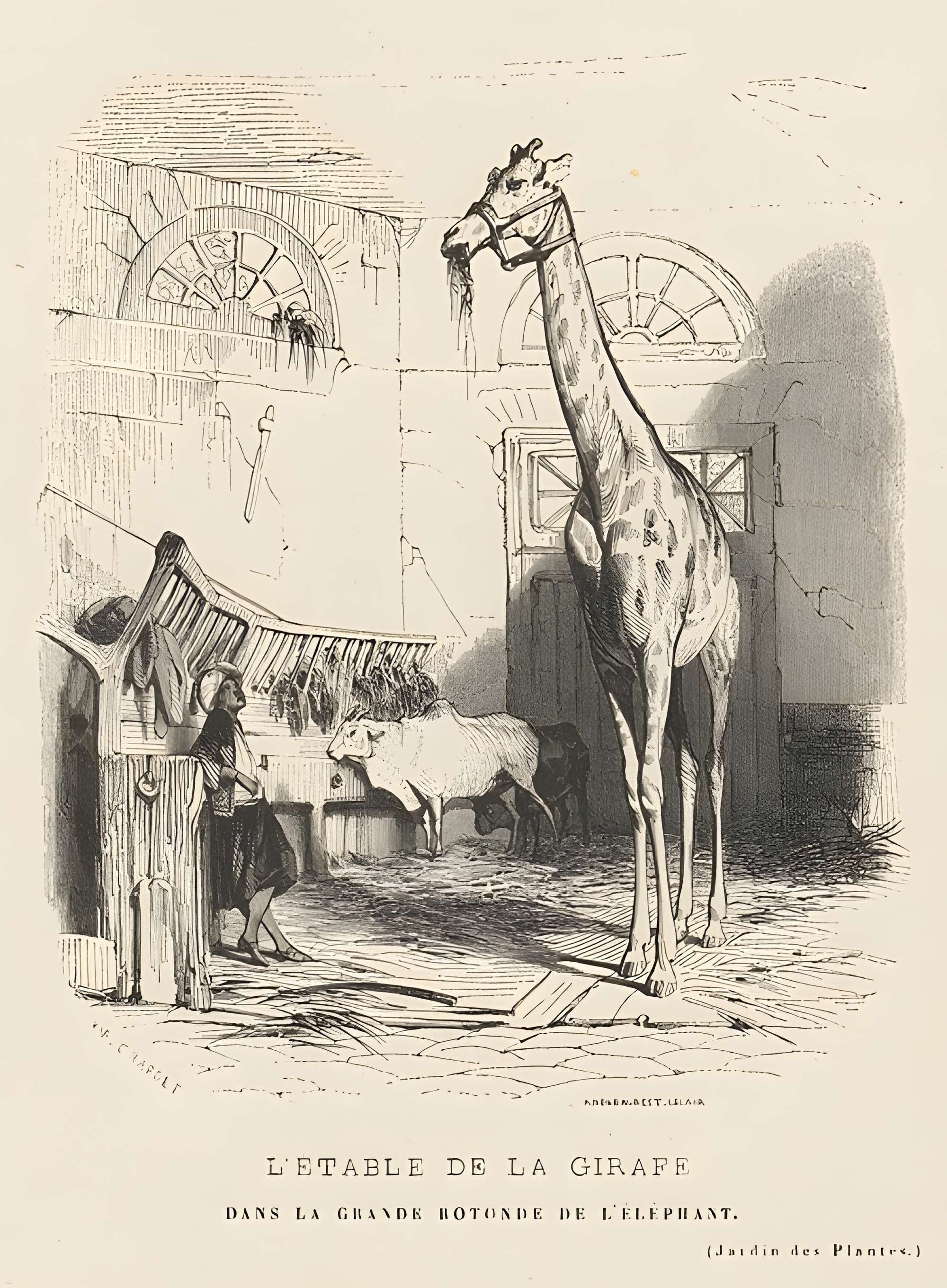 Jardin des Plantes et Museum national d'Histoire naturelle