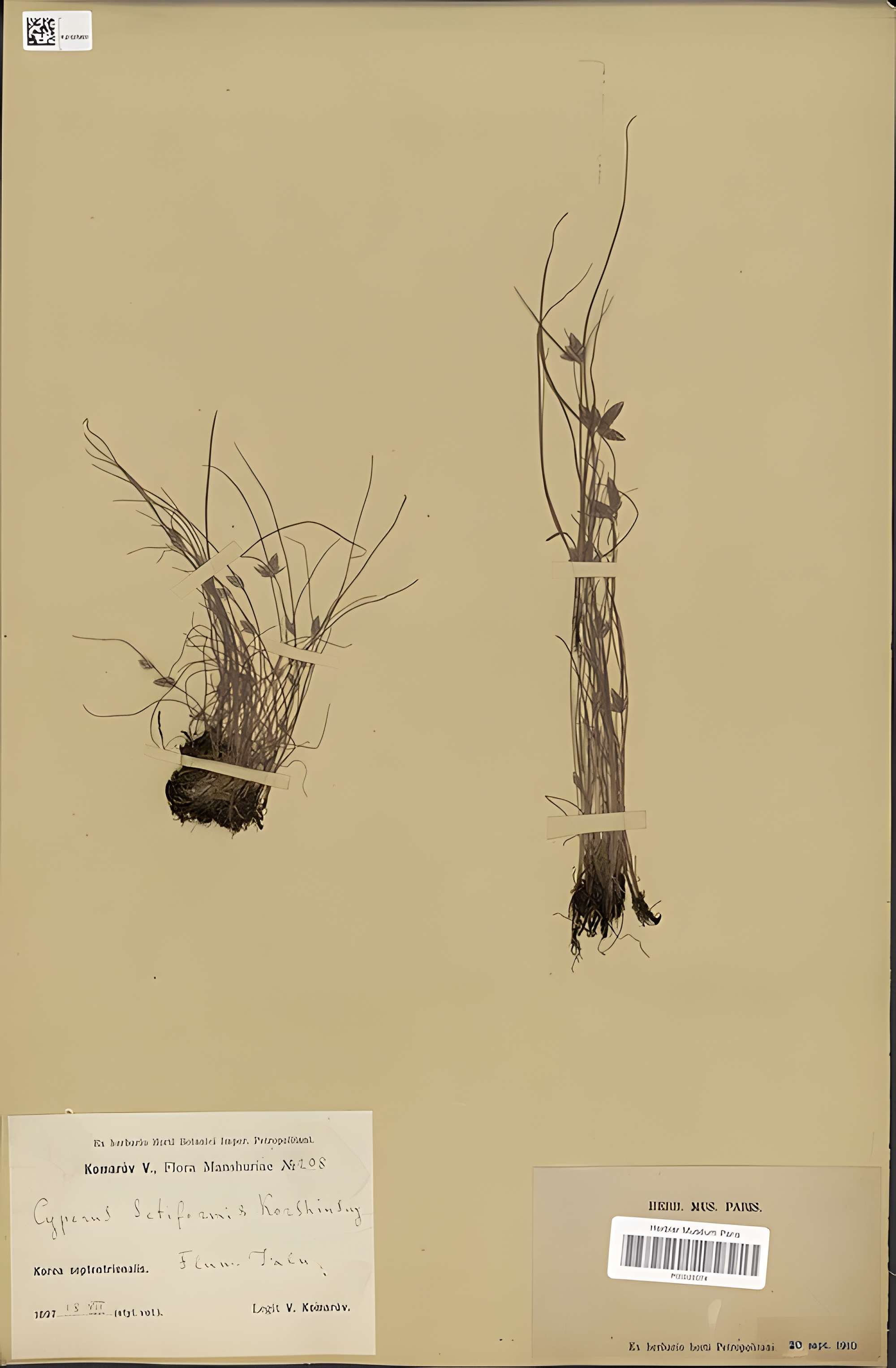 Jardin des Plantes et Museum national d'Histoire naturelle