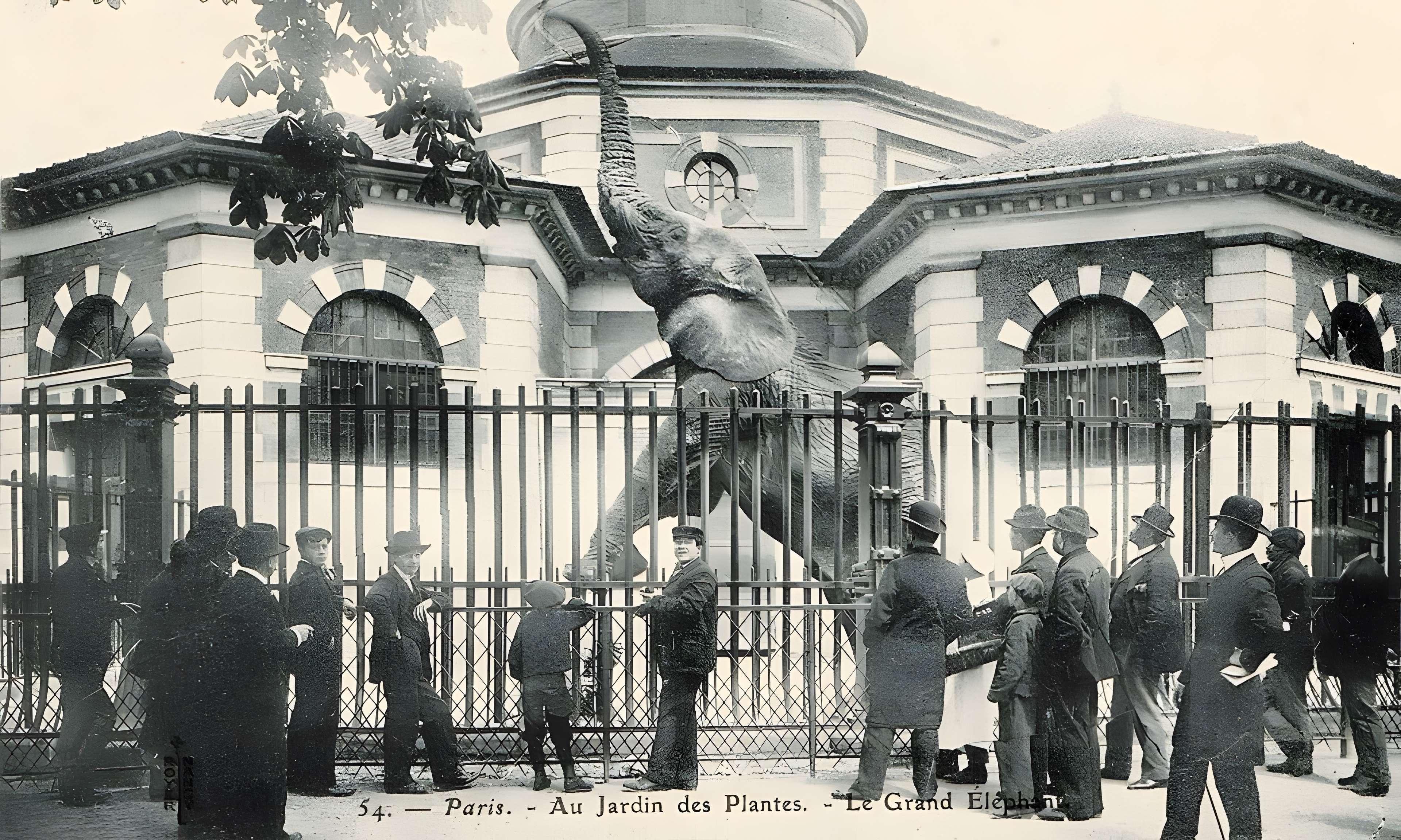 Jardin des Plantes et Museum national d'Histoire naturelle