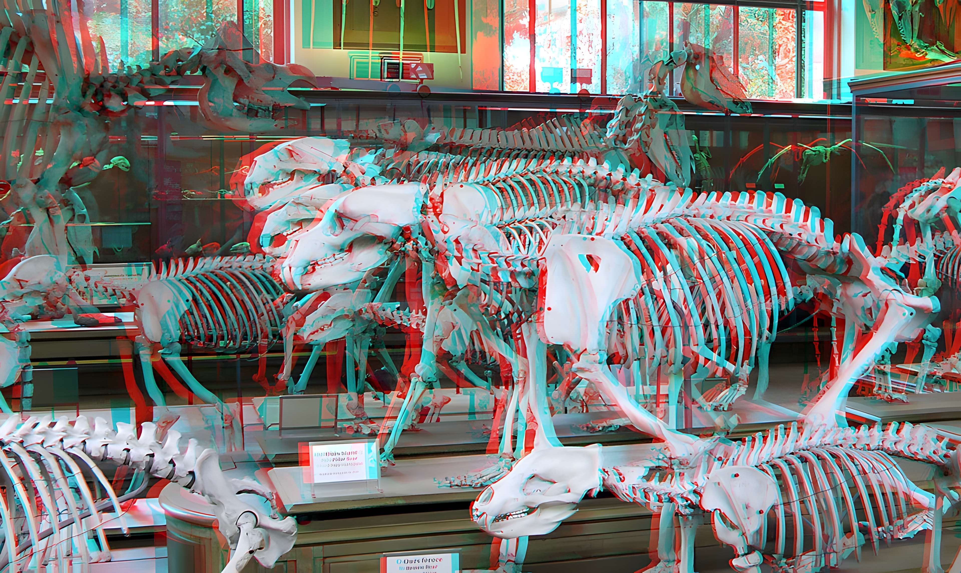 Jardin des Plantes et Museum national d'Histoire naturelle