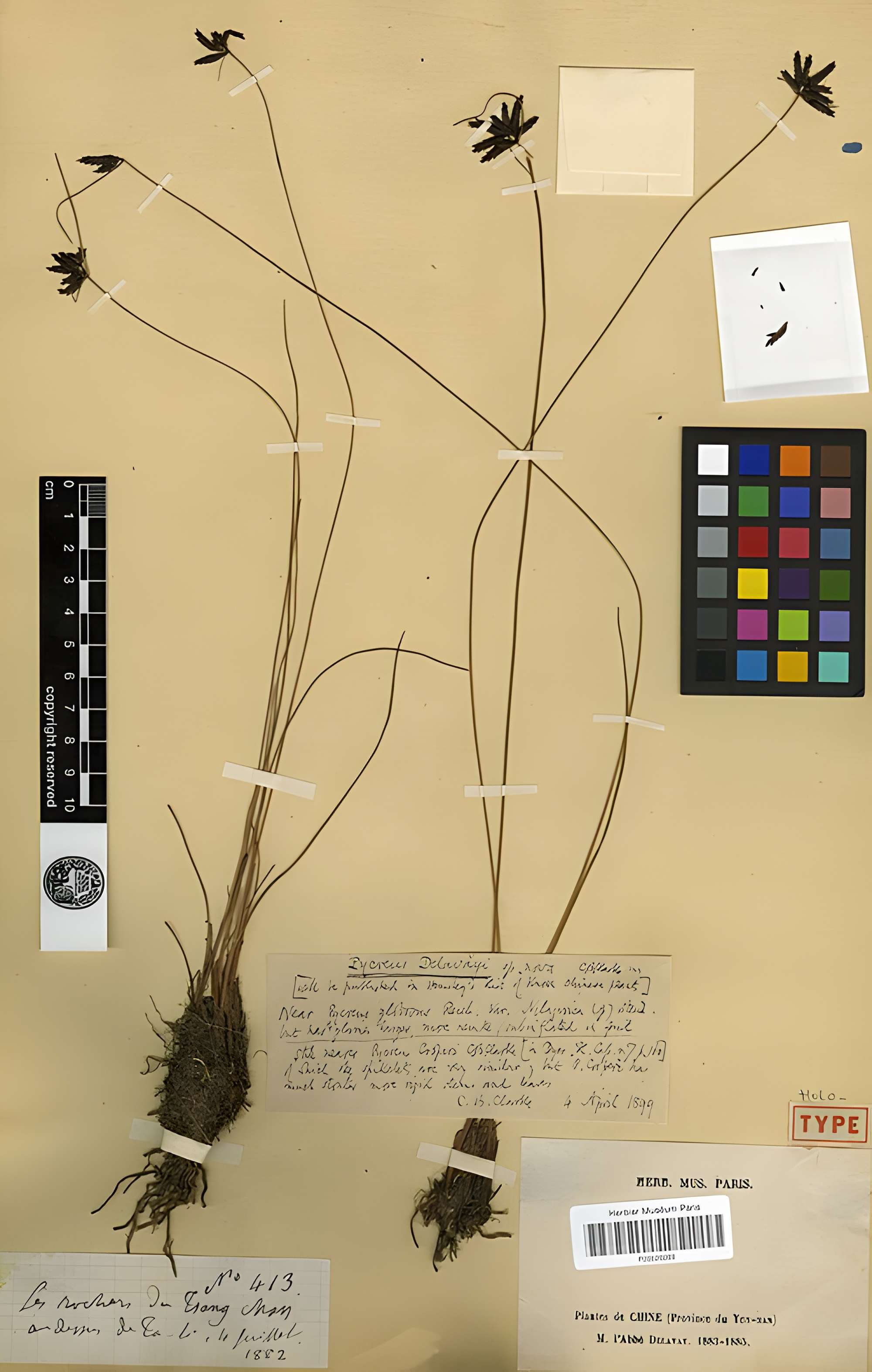 Jardin des Plantes et Museum national d'Histoire naturelle