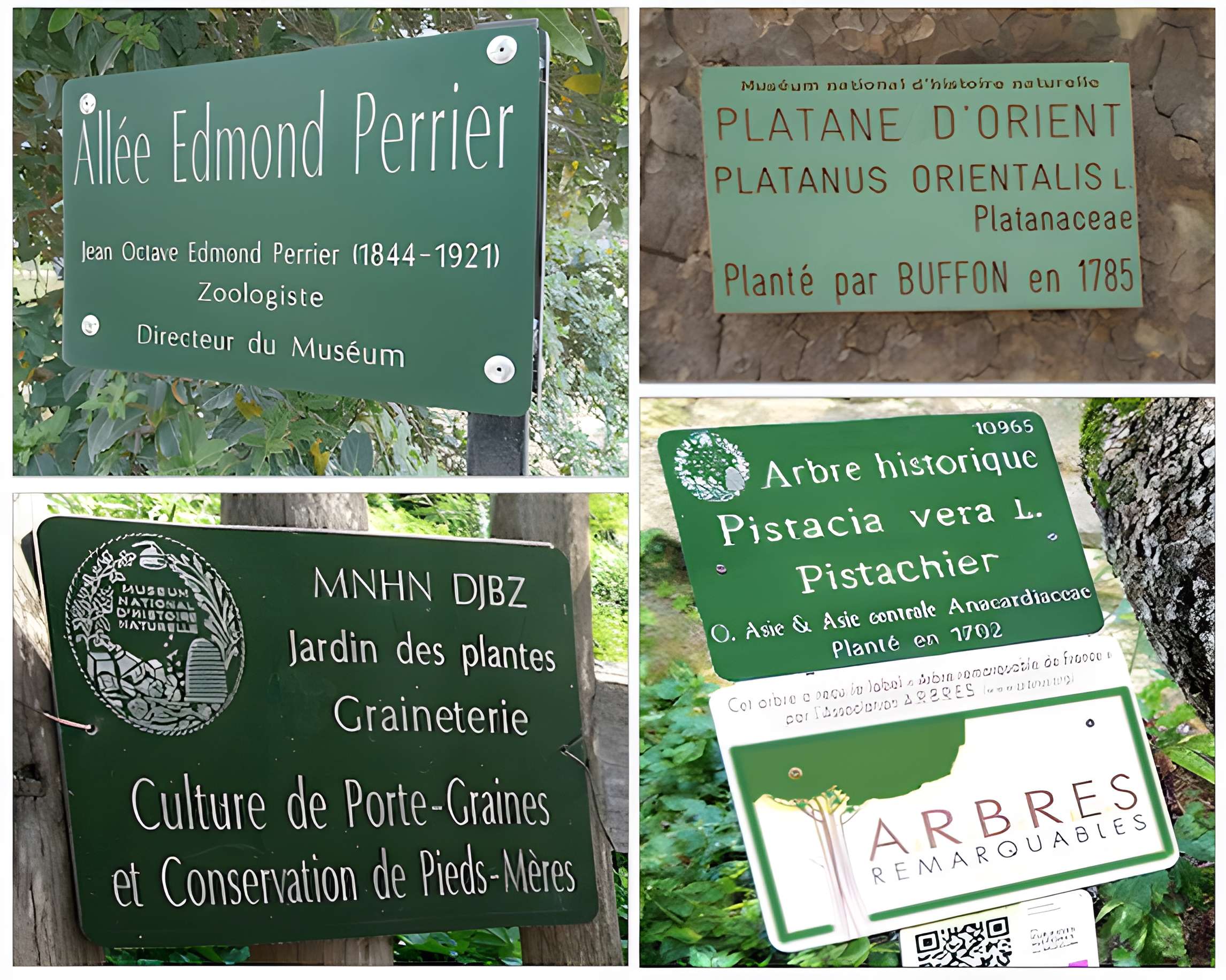 Jardin des Plantes et Museum national d'Histoire naturelle