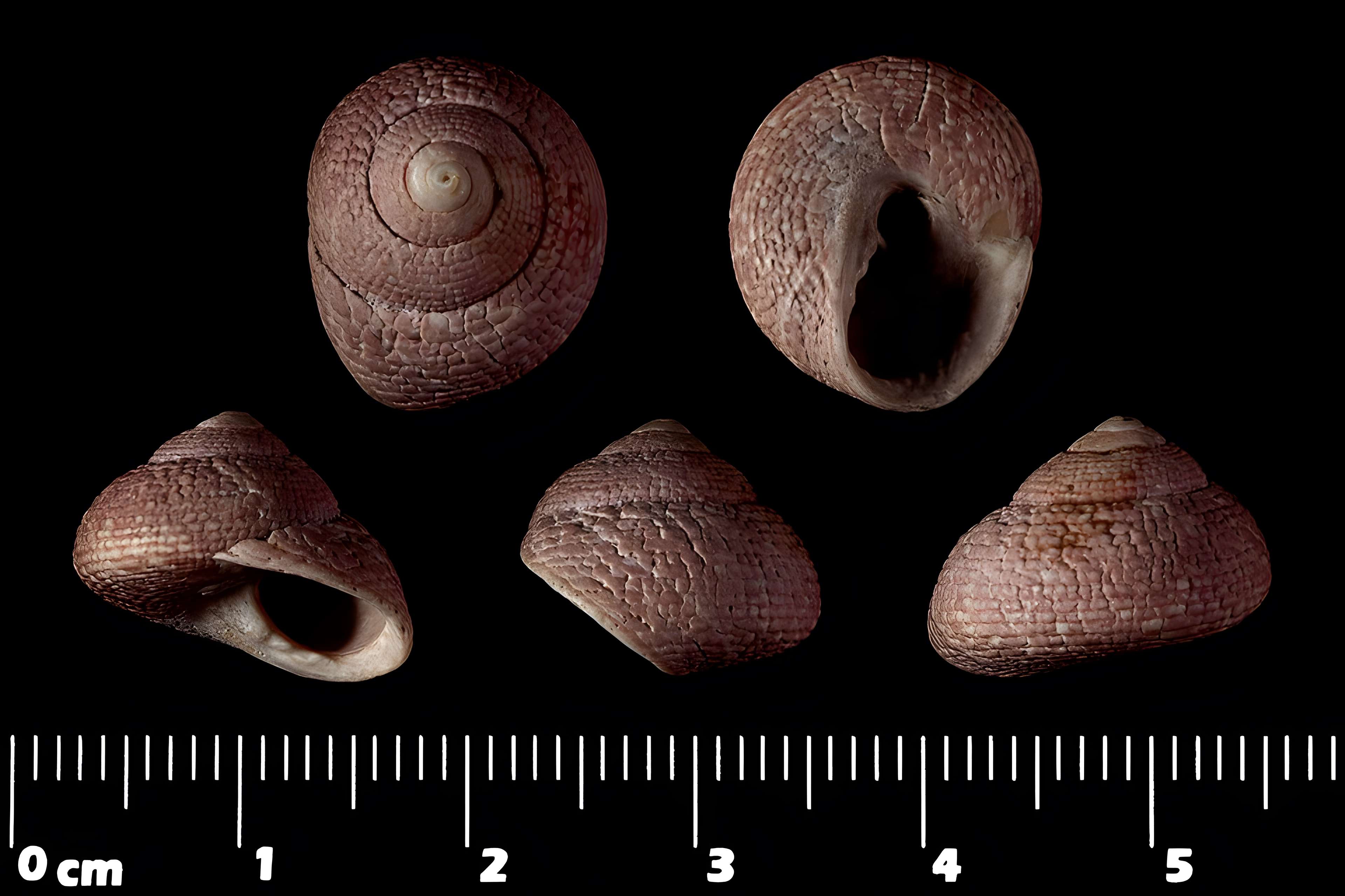 Jardin des Plantes et Museum national d'Histoire naturelle