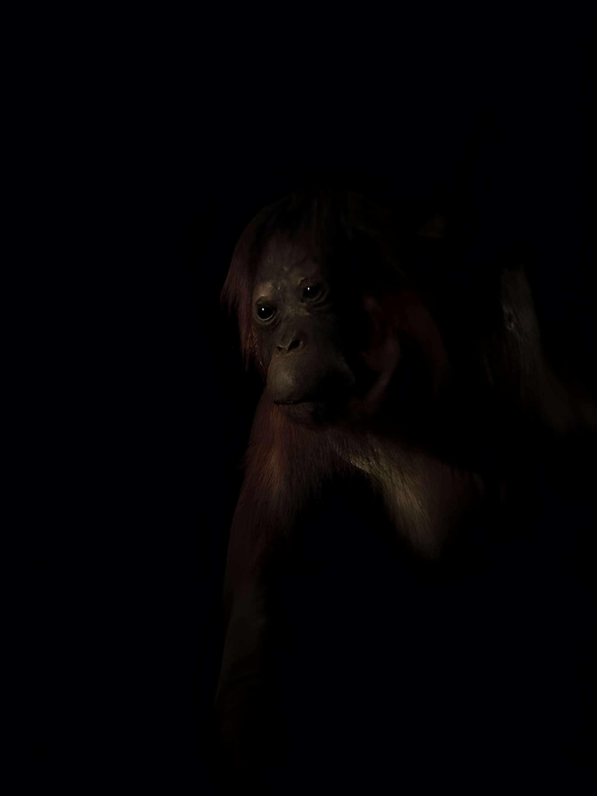 Jardin des Plantes et Museum national d'Histoire naturelle