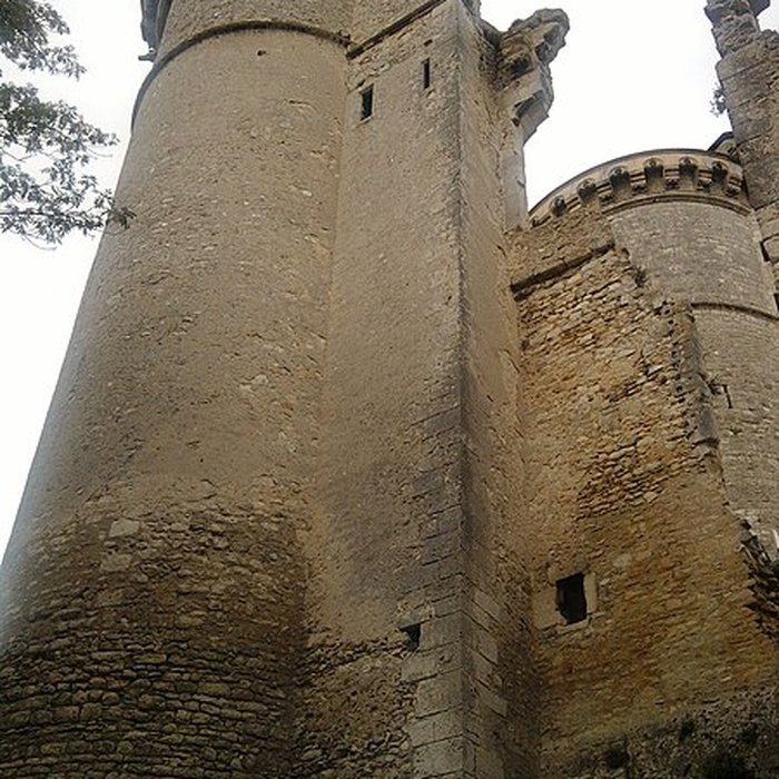 Photo de Château de Mehun-sur-Yèvre