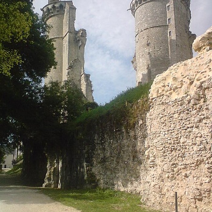Photo de Château de Mehun-sur-Yèvre