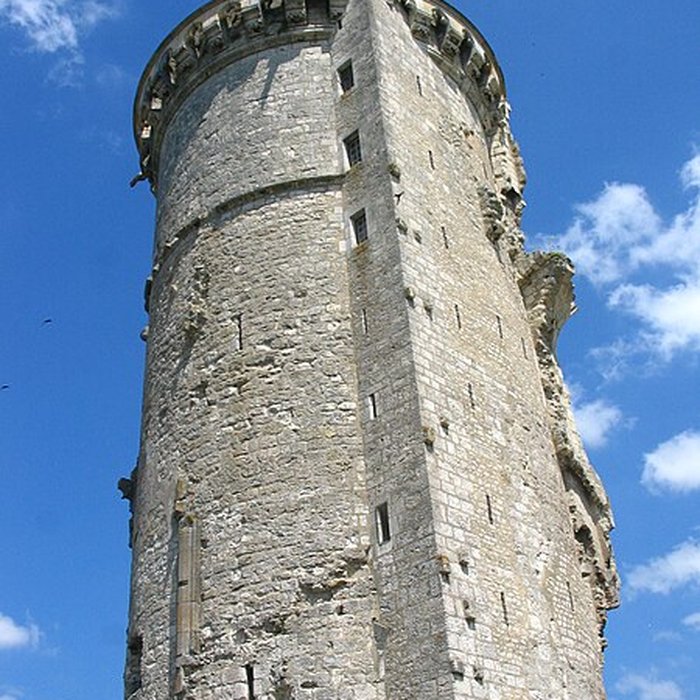 Photo de Château de Mehun-sur-Yèvre