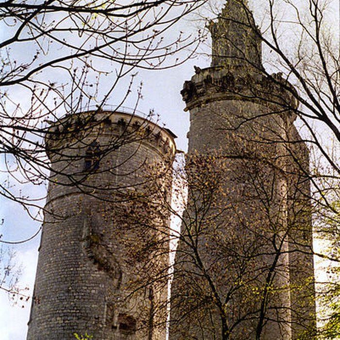 Photo de Château de Mehun-sur-Yèvre