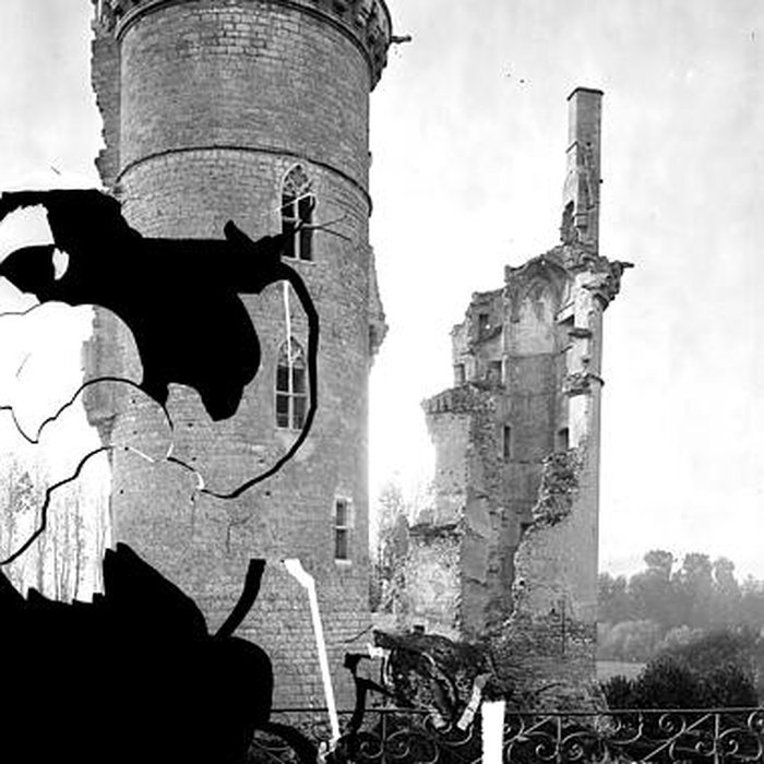 Photo de Château de Mehun-sur-Yèvre