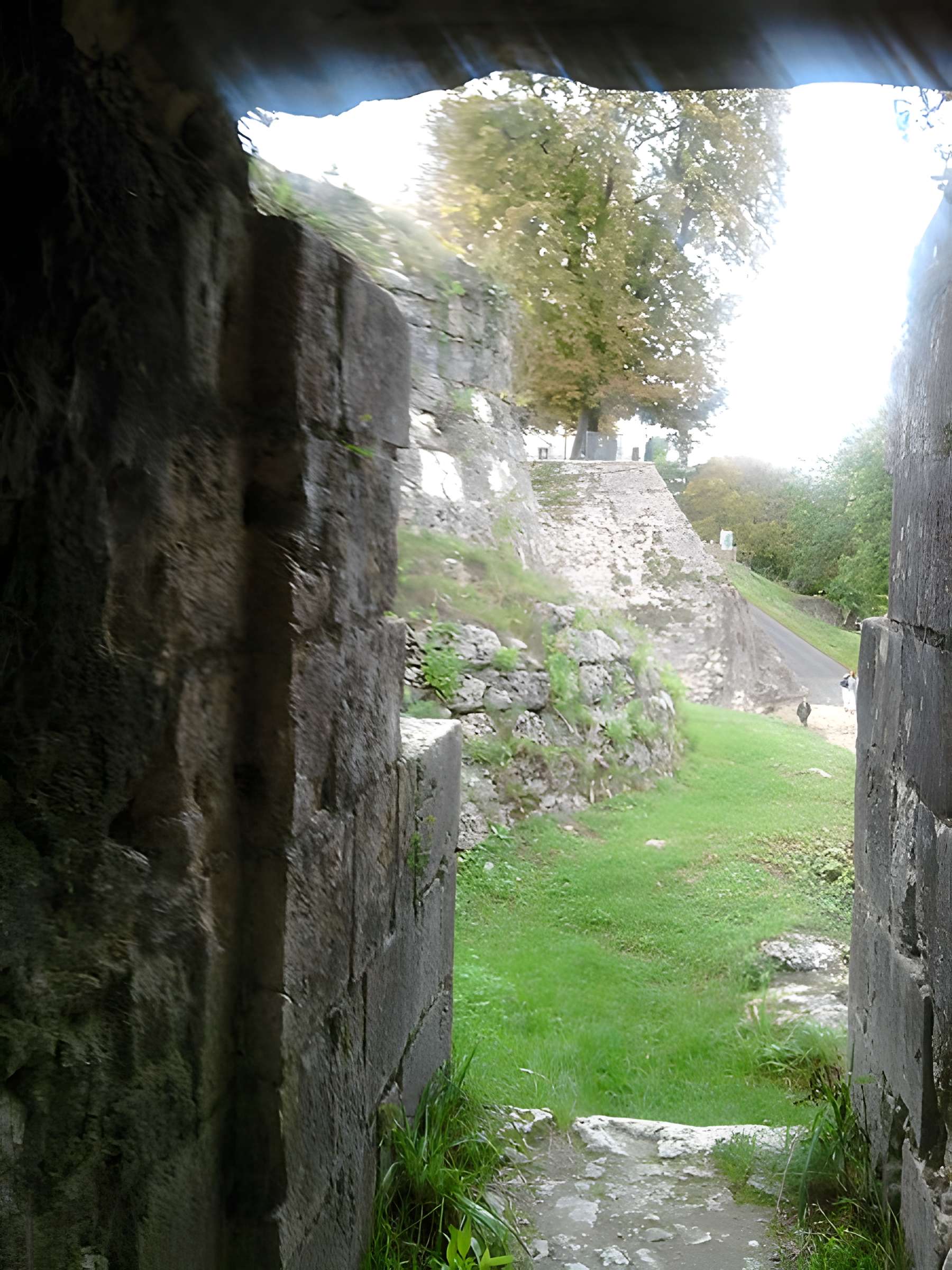 Château de Mehun-sur-Yèvre