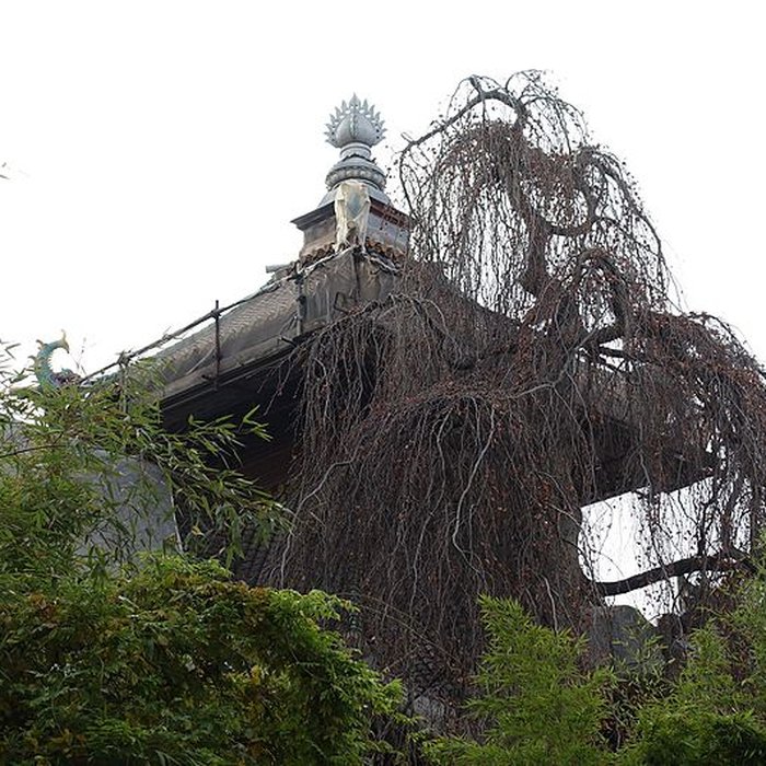 Photo de Cinéma La Pagode - Paris 7ème