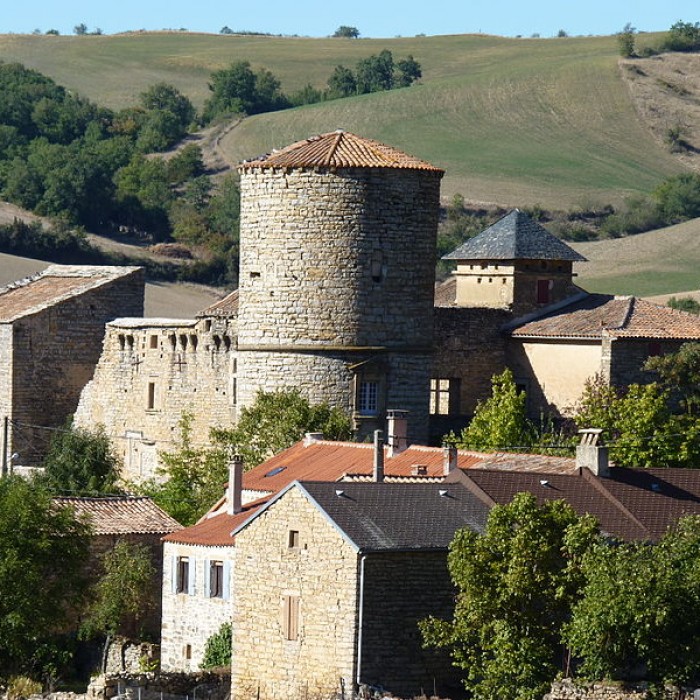 Photo de Château de Mélac