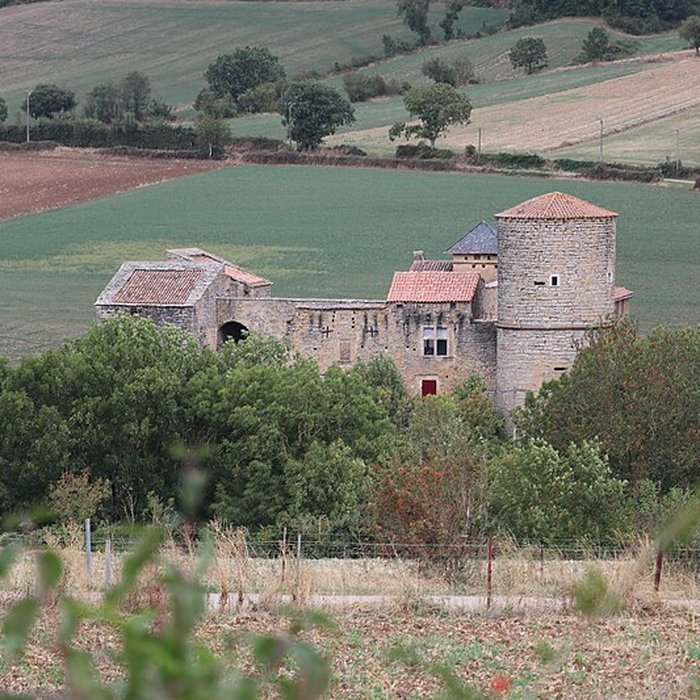 Photo de Château de Mélac