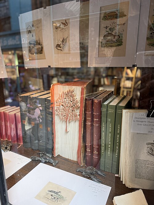 Passage Jouffroy - Paris 9ème