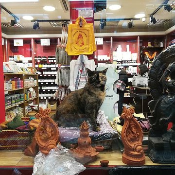 Passage Brady - Paris 10ème