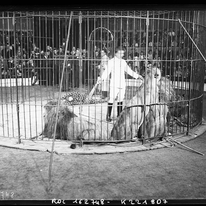 Photo de Cirque dhiver à Paris