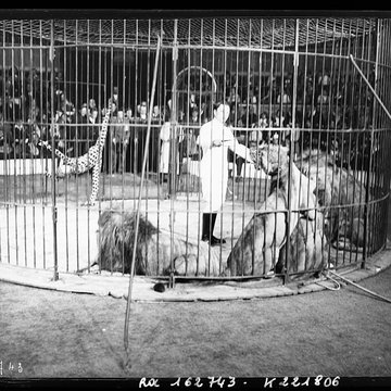 Cirque dhiver à Paris