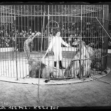Cirque dhiver à Paris