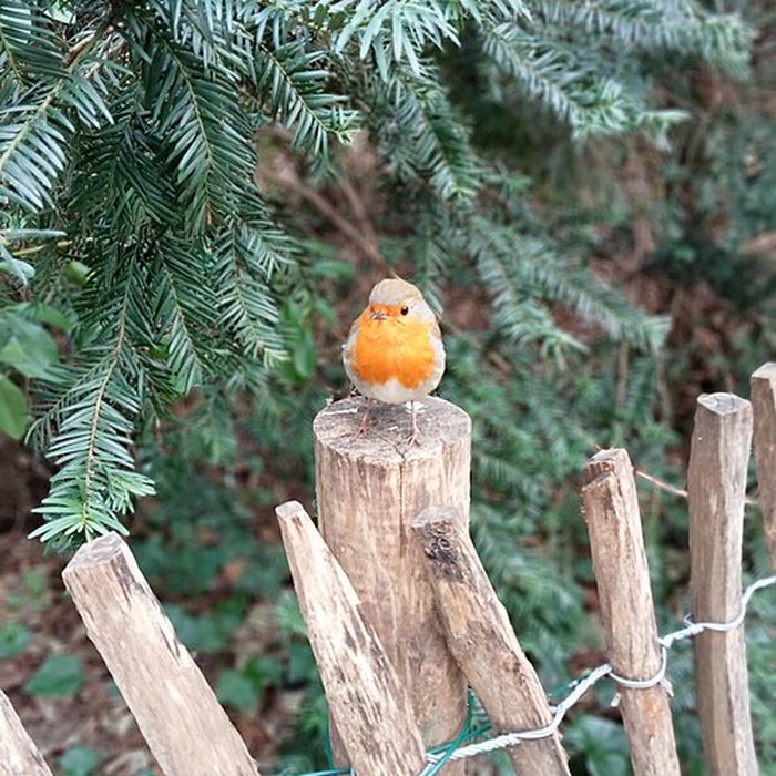 Photo de Square René-Le Gall - Paris 13ème