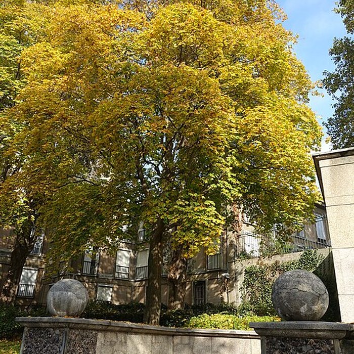 Photo de Square René-Le Gall - Paris 13ème