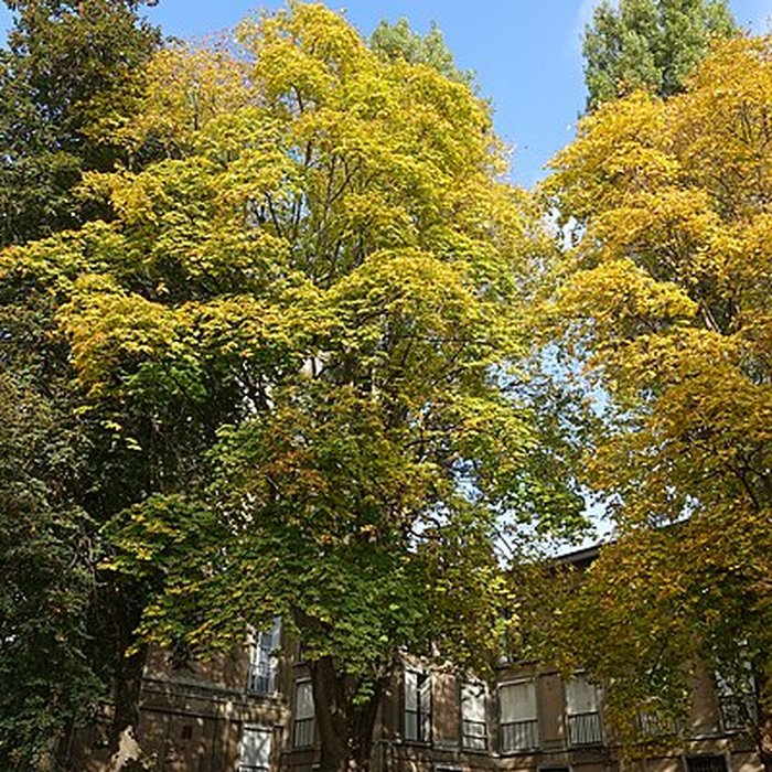 Photo de Square René-Le Gall - Paris 13ème