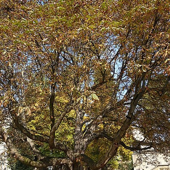 Photo de Square René-Le Gall - Paris 13ème