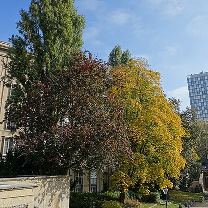 Photo de Square René-Le Gall - Paris 13ème