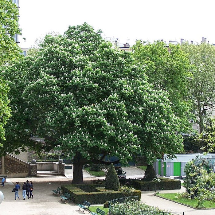 Photo de Square René-Le Gall - Paris 13ème