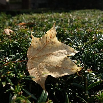 Square René-Le Gall - Paris 13ème
