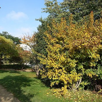 Square René-Le Gall - Paris 13ème