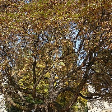 Square René-Le Gall - Paris 13ème