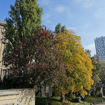 Square René-Le Gall - Paris 13ème