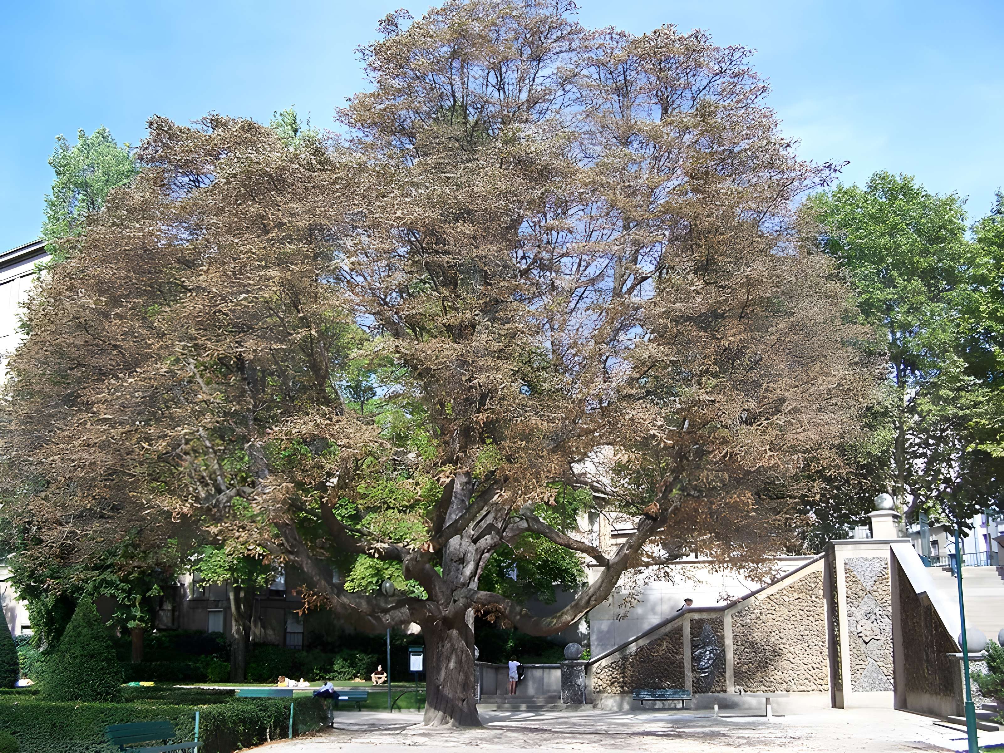 Square René-Le Gall - Paris 13ème