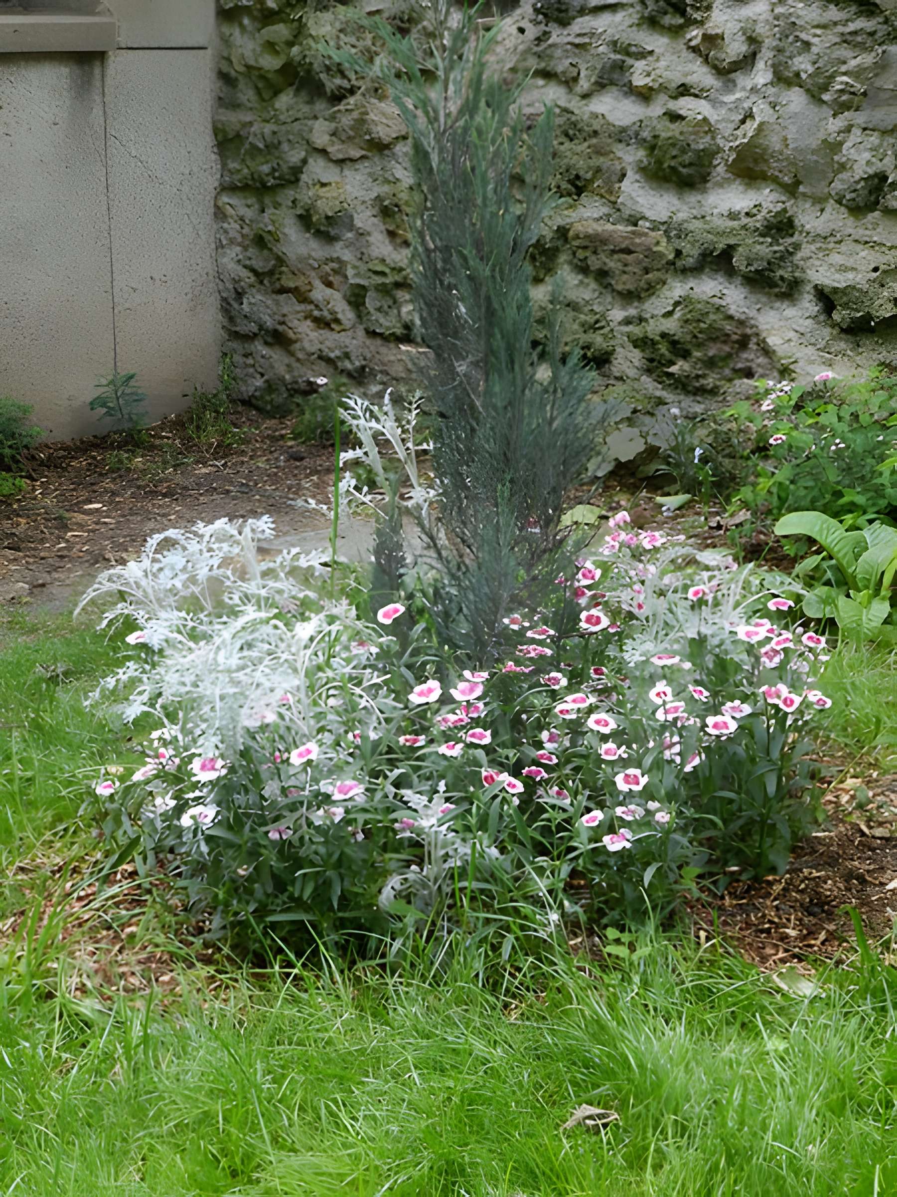 Square René-Le Gall - Paris 13ème
