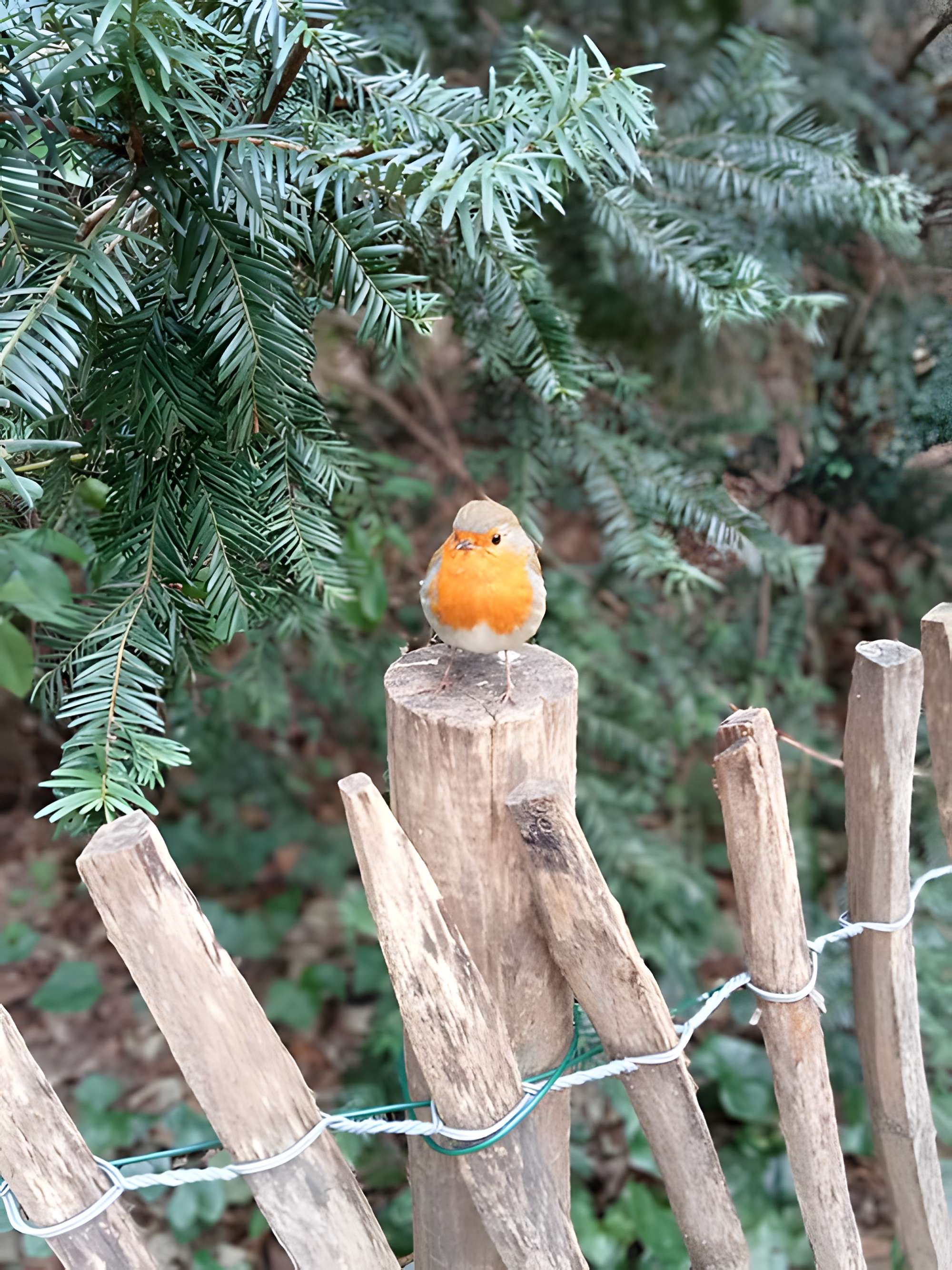 Square René-Le Gall - Paris 13ème