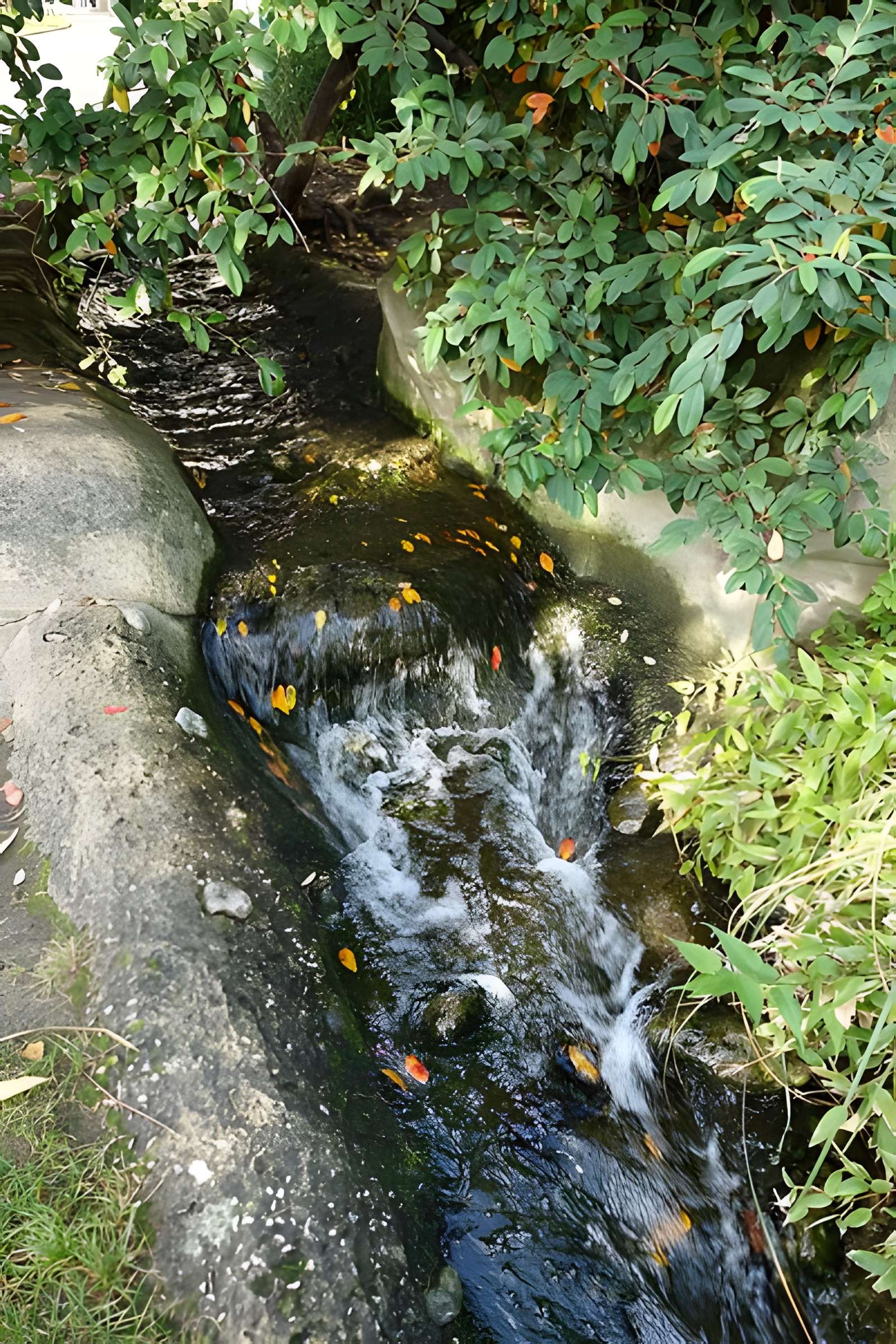 Square René-Le Gall - Paris 13ème