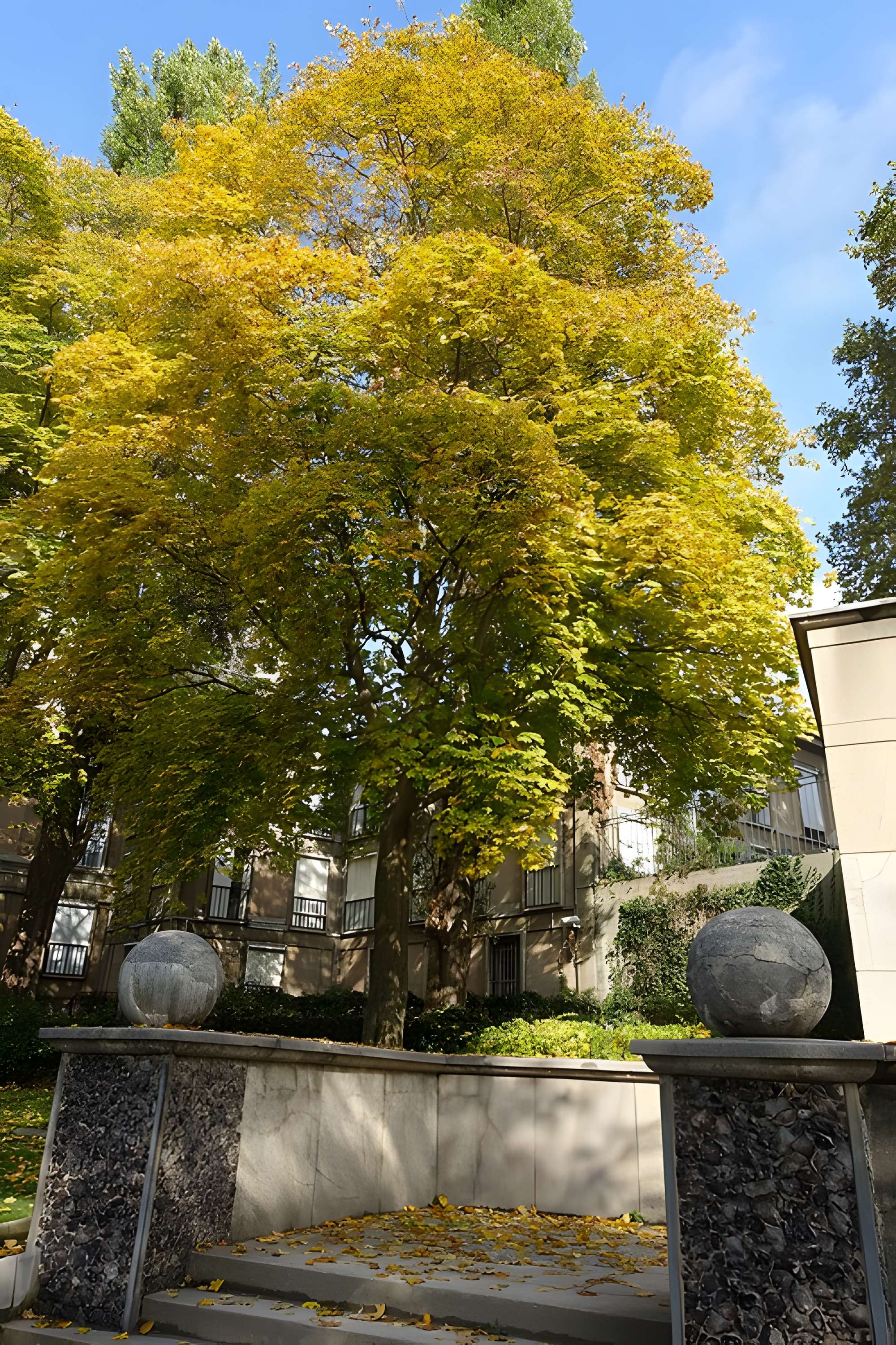 Square René-Le Gall - Paris 13ème