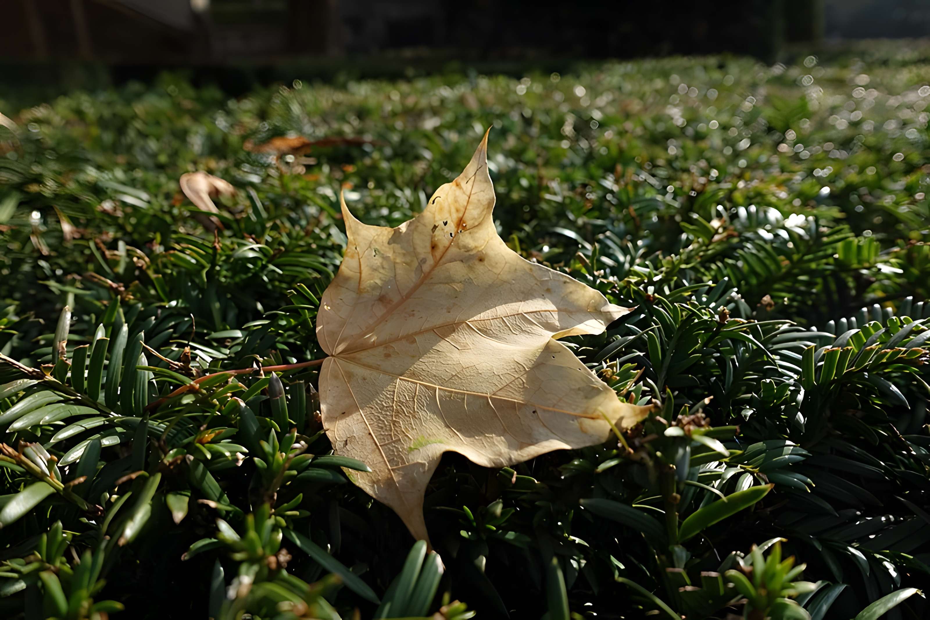 Square René-Le Gall - Paris 13ème
