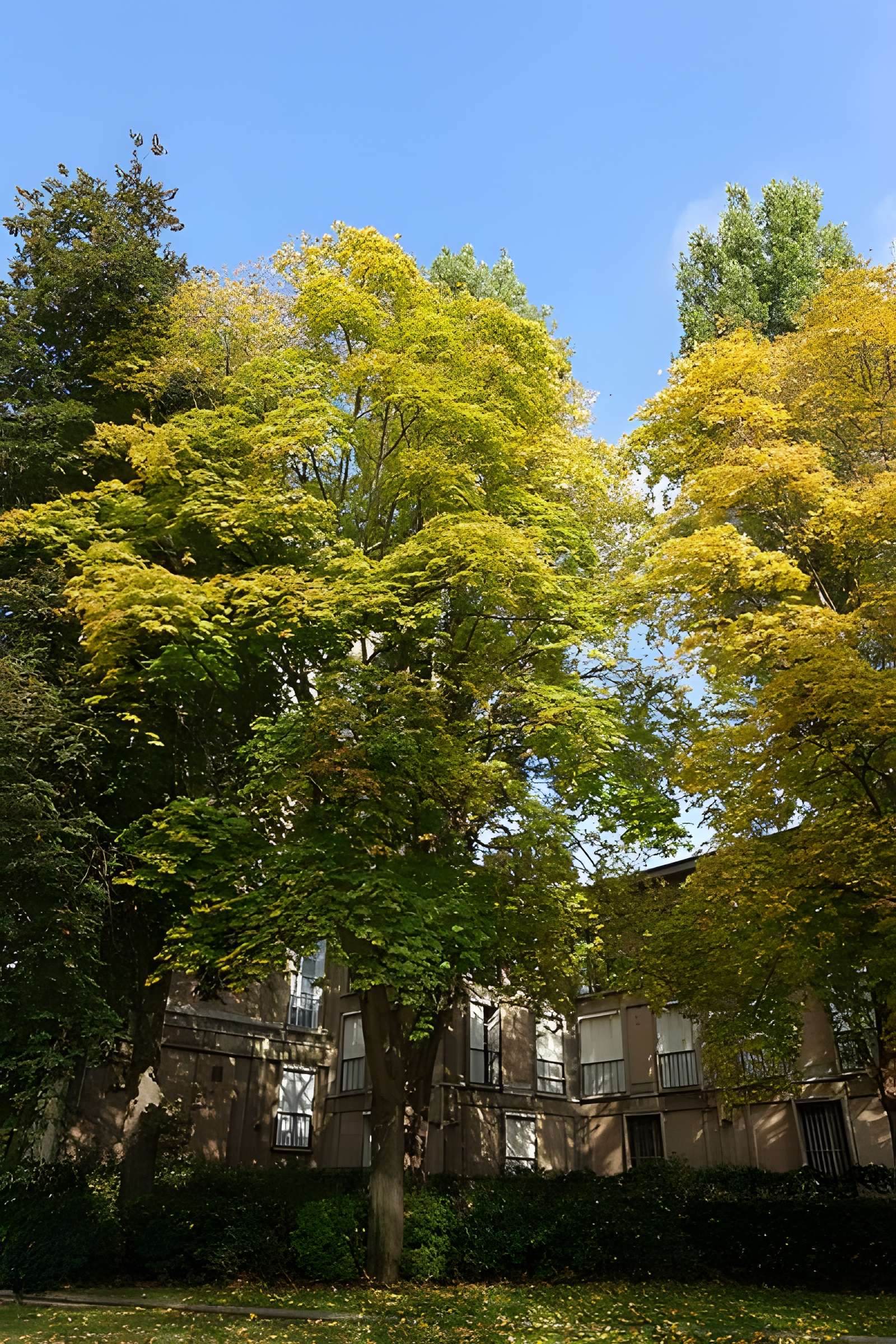 Square René-Le Gall - Paris 13ème